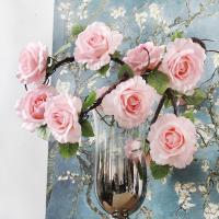 uploads/erp/collection/images/Home Garden/CongDing/XU0612226/img_b/XU0612226_img_b_4